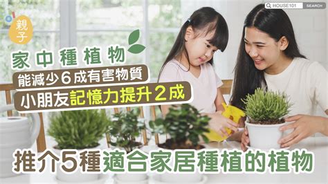 小朋友種植物|8種適合孩子養的花花草草，讓花兒陪孩子健康成長！